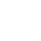 Free CV Consultation