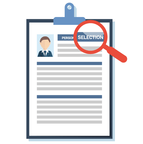 Professional Resumes